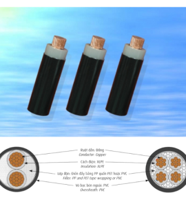 CXV ­− 0,6/1 KV CÁP ĐIỆN LỰC, RUỘT ĐỒNG, CÁCH ĐIỆN XLPE, VỎ PVC