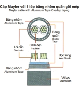 Cáp muyler 2 lõi 0,6/1(1,2)kV