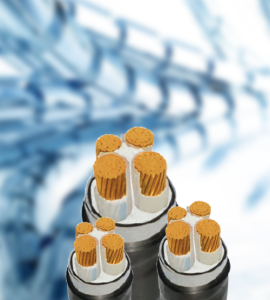 CÁP ĐIỆN LỰC 3 LỖi 1 TRUNG TÍNH C/XLPE/PVC/DSTA/PVC